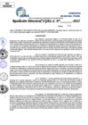 Vista preliminar de documento Resolucion Directoral N° 001908-2025