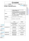 Vista preliminar de documento Informe N° 049-DFI/2025