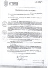 Vista preliminar de documento RA 136-2025