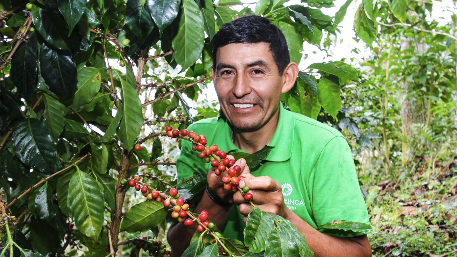 Gobierno: agroexportaciones siguen en alza e inician el año con ventas de US$ 1,353 millones