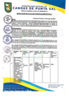 Vista preliminar de documento RESOLUCION DE ALCALDIA N° 285-05-2023-MDCPS-ALC