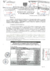 Vista preliminar de documento Resolución Gerencial N° 263-2024-GDTyGI-MPP