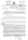 Vista preliminar de documento Resolución Gerencial N° 265-2024-GDTyGI-MPP
