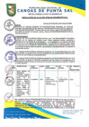 Vista preliminar de documento RESOLUCION DE ALCALDIA N° 294-05-2023-MDCPS-ALC