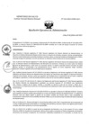 Vista preliminar de documento REA N° 024-OEA-INMP-2025