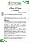 Vista preliminar de documento Acuerdo de Consejo N°33-2025-MDSR