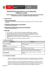 Vista preliminar de documento Perfil Convocatoria 013-2025 Practica PreProfesional