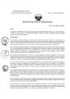 Vista preliminar de documento REA N° 025-OEA-INMP-2025