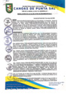 Vista preliminar de documento RESOLUCION DE ALCALDIA N° 303-05-2023-MDCPS-ALC