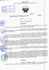 Vista preliminar de documento R.D N° 343-2025