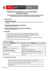 Vista preliminar de documento Perfil Convocatoria 018-2025 Practica Preprofesional