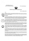 Vista preliminar de documento REA N° 027-OEA-INMP-2025