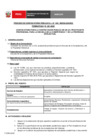 Vista preliminar de documento Perfil Convocatoria 021-2025 Practica Profesional