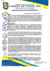Vista preliminar de documento RESOLUCION DE ALCALDIA N° 308-05-2023-MDCPS-ALC