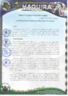 Vista preliminar de documento RA 16