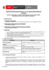 Vista preliminar de documento Perfil Convocatoria 029-2025 Practica Profesional