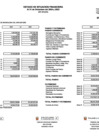 Vista preliminar de documento Estados Financieros y Estados Presupuestarios - Anual 2024