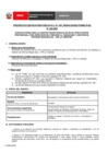 Vista preliminar de documento Perfil Convocatoria 035-2025 Practica Profesional