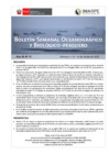 Vista preliminar de documento BS OBP N°11 2025