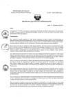 Vista preliminar de documento REA N° 029-OEA-INMP-2025