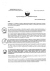 Vista preliminar de documento REA N° 031-OEA-INMP-2025