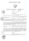 Vista preliminar de documento 810