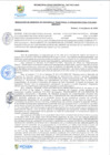 Vista preliminar de documento rgi95