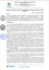 Vista preliminar de documento rgi101