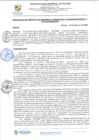 Vista preliminar de documento rgi104