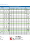 Vista preliminar de documento Cronograma de Ejecución Financiera