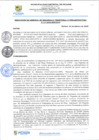 Vista preliminar de documento rgi117