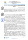 Vista preliminar de documento rgi116