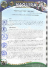 Vista preliminar de documento RA 19
