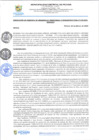 Vista preliminar de documento rgi139