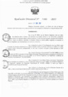 Vista preliminar de documento RD N° 393-2025