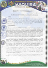Vista preliminar de documento RA 29