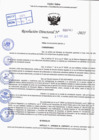 Vista preliminar de documento R.D N° 367-2025