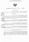 Vista preliminar de documento RD N° 395-2025