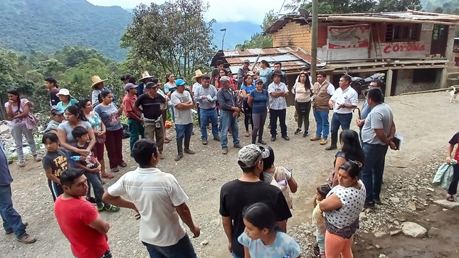 Restaurar la agricultura y ganadería en Canchaque 