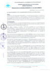 Vista preliminar de documento Resolución Gerencial N° 032-2025-GM/MDPN