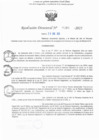 Vista preliminar de documento RD N° 399-2025