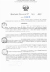 Vista preliminar de documento RD N° 401-2025