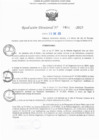 Vista preliminar de documento RD N° 402-2025