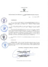 Vista preliminar de documento RER.103