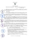 Vista preliminar de documento RER.163