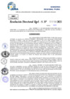 Vista preliminar de documento Resolucion Directoral N° 001930-2025