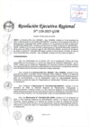 Vista preliminar de documento RER 110-2025-GOB