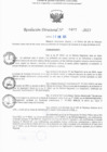 Vista preliminar de documento RD N° 407-2025