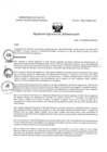 Vista preliminar de documento REA N° 039-OEA-INMP-2025