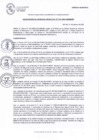 Vista preliminar de documento RGM Nº 010-2025